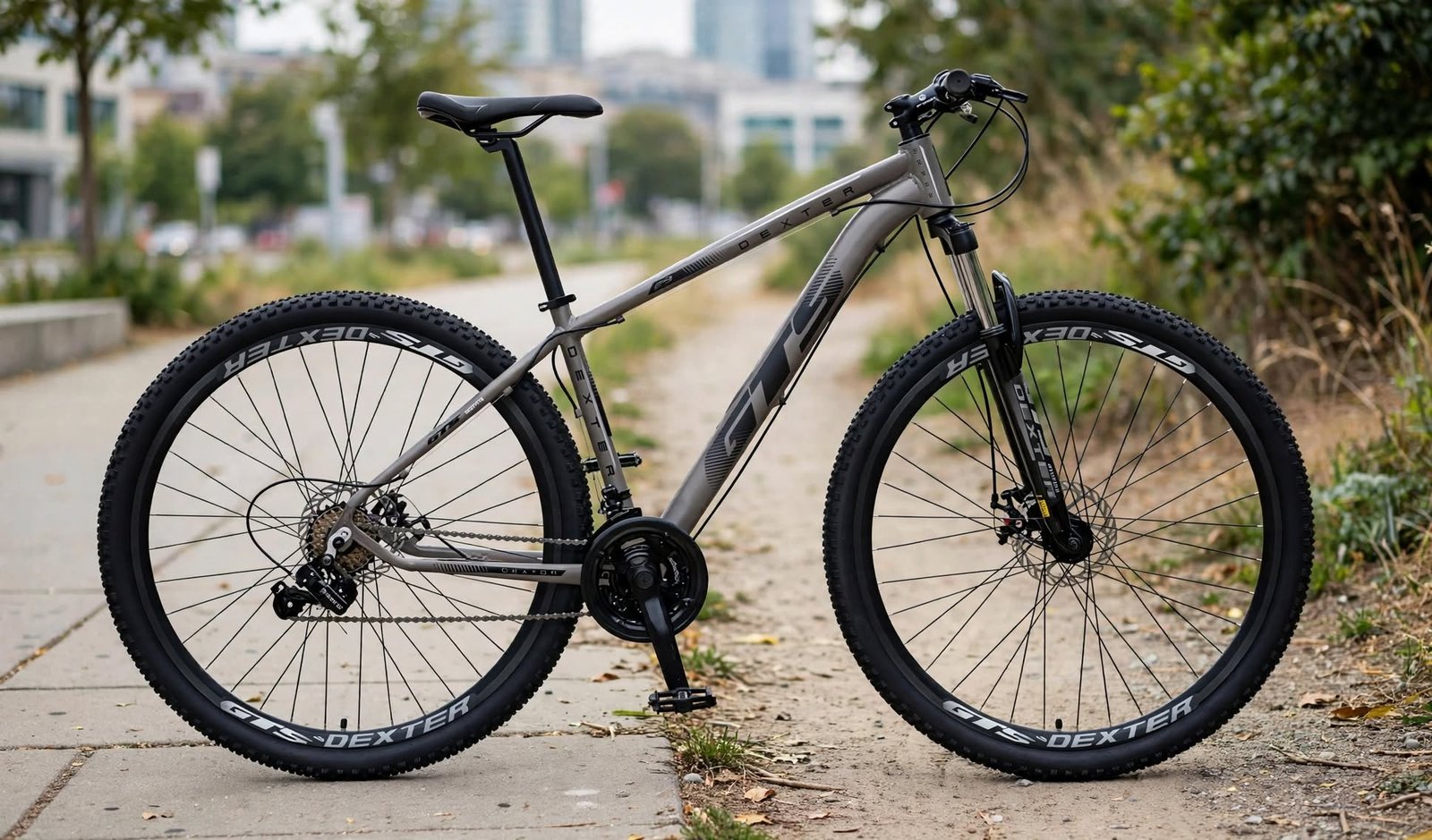 Qual é a melhor bicicleta aro 29 para iniciantes? Vale a pena investir na GTS Dexter?
